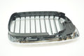 Left Kidney Grille