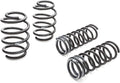 Pro-Kit Lowering Springs