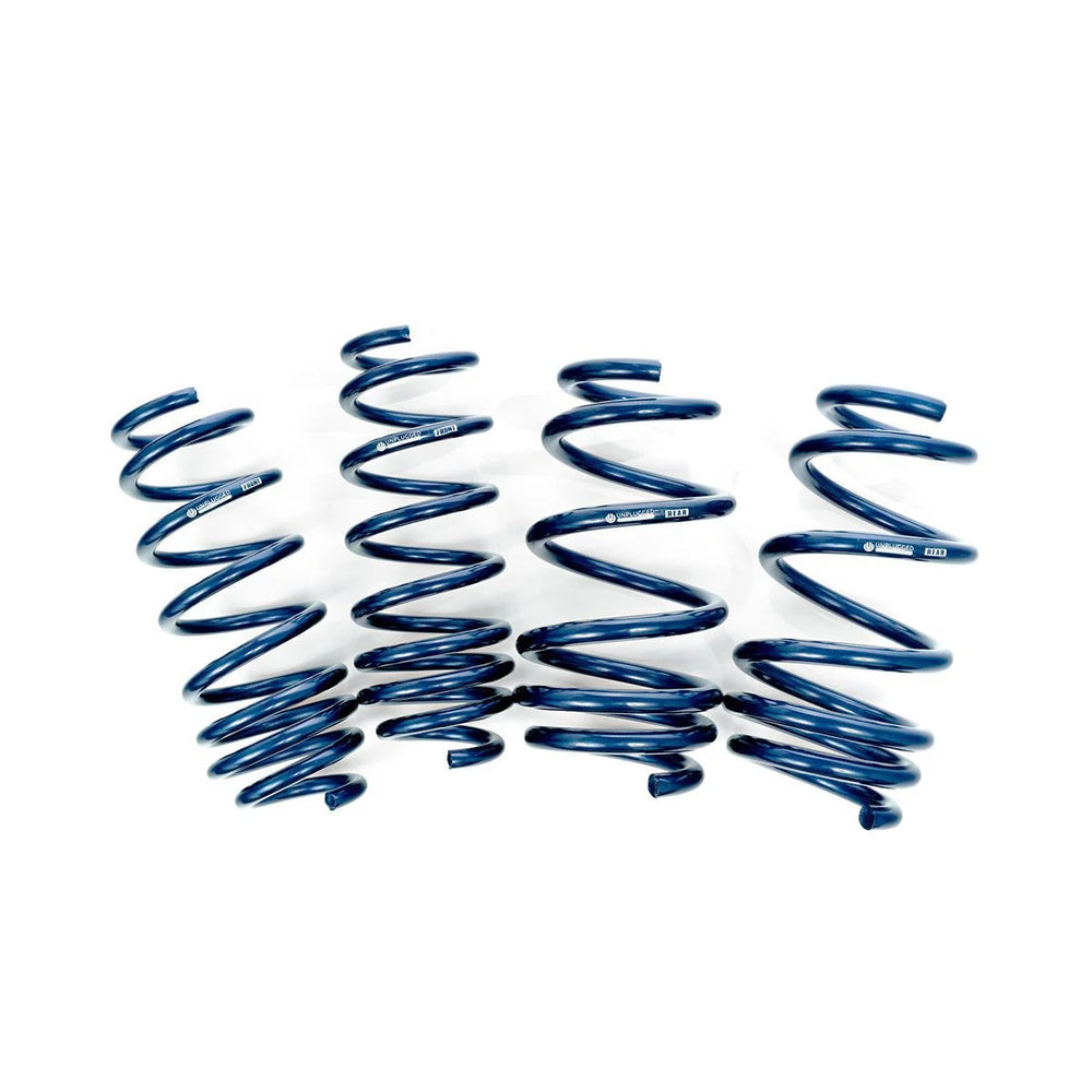 Dual Rate Linear Lowering Springs