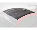 CARBON+ Carbon Fiber Roof