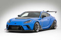CARBON+ Carbon Fiber Roof