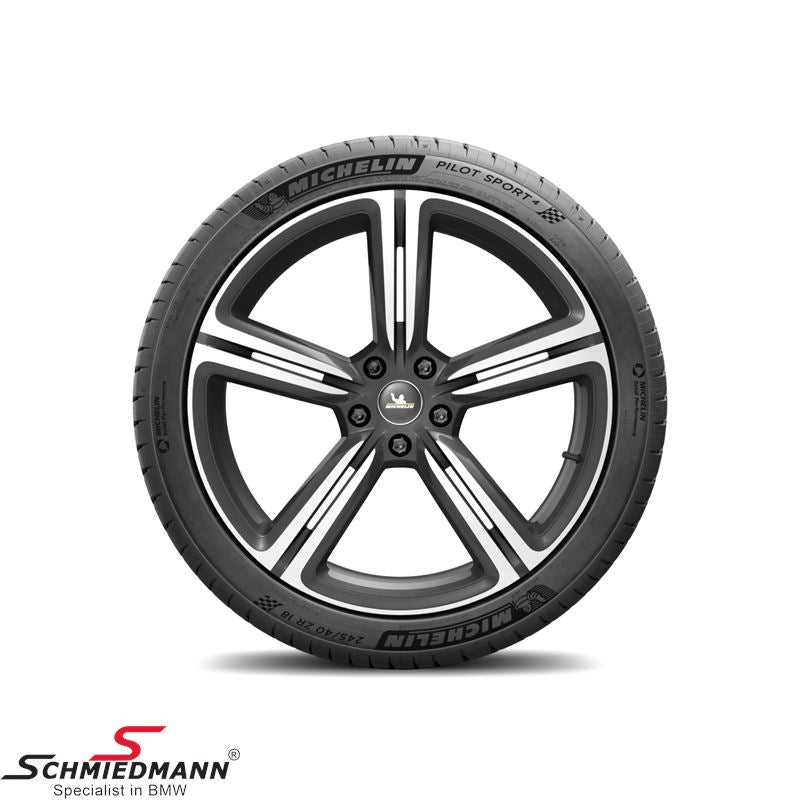 Pilot Sport 4S Tire
