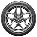 Firehawk AS V2 All-Season Tire