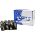 Beehive LS Valve Springs & Hat Seals