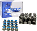 Beehive LS Valve Springs & Hat Seals