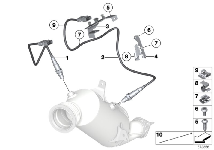 Halogen Back-Up Light Bulb