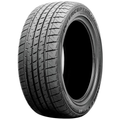 Interceptor AS810 All-Season Performance Tire