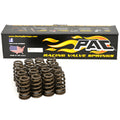 1218 Valve Spring Kit