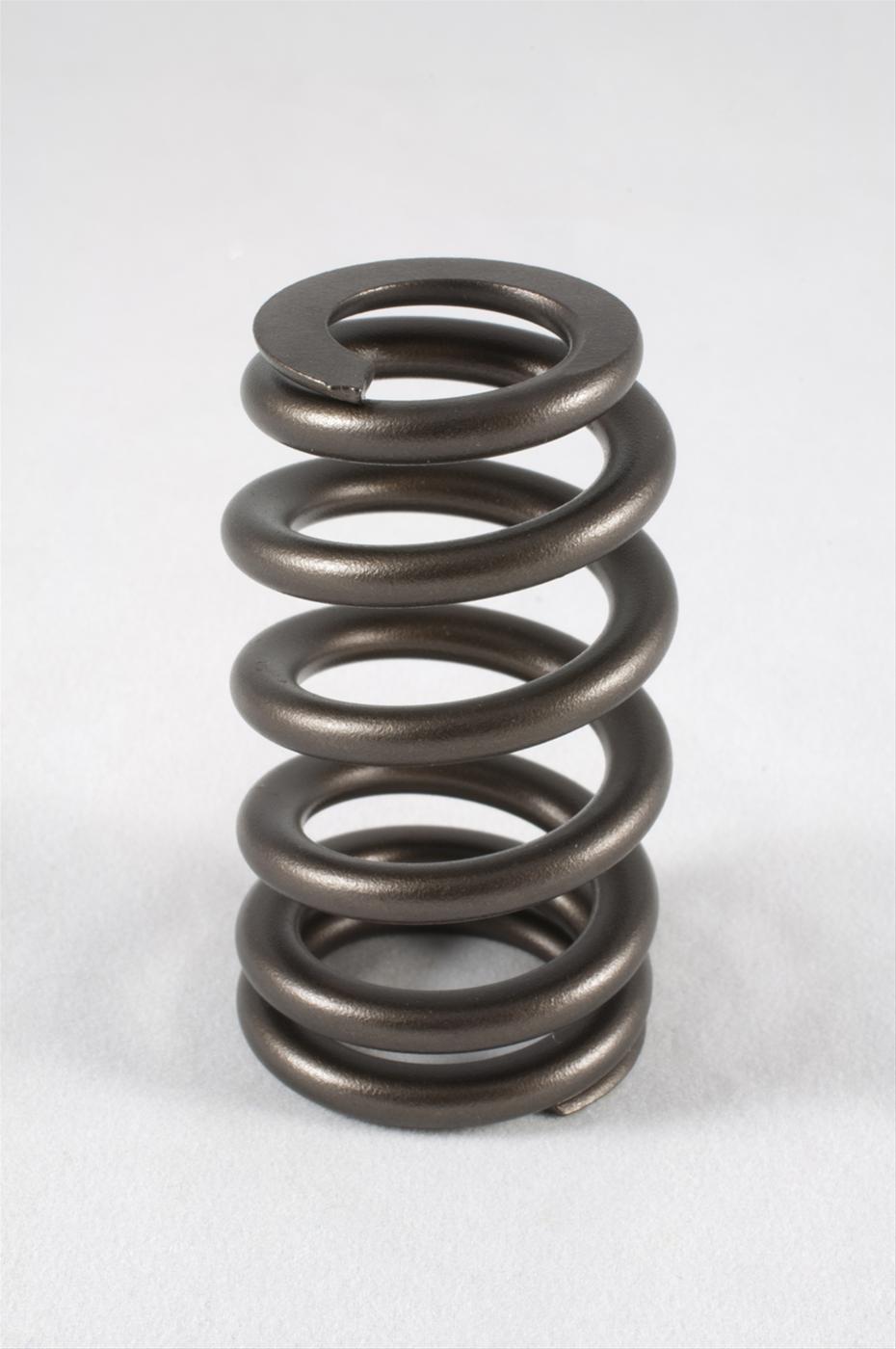 1218 Valve Spring Kit