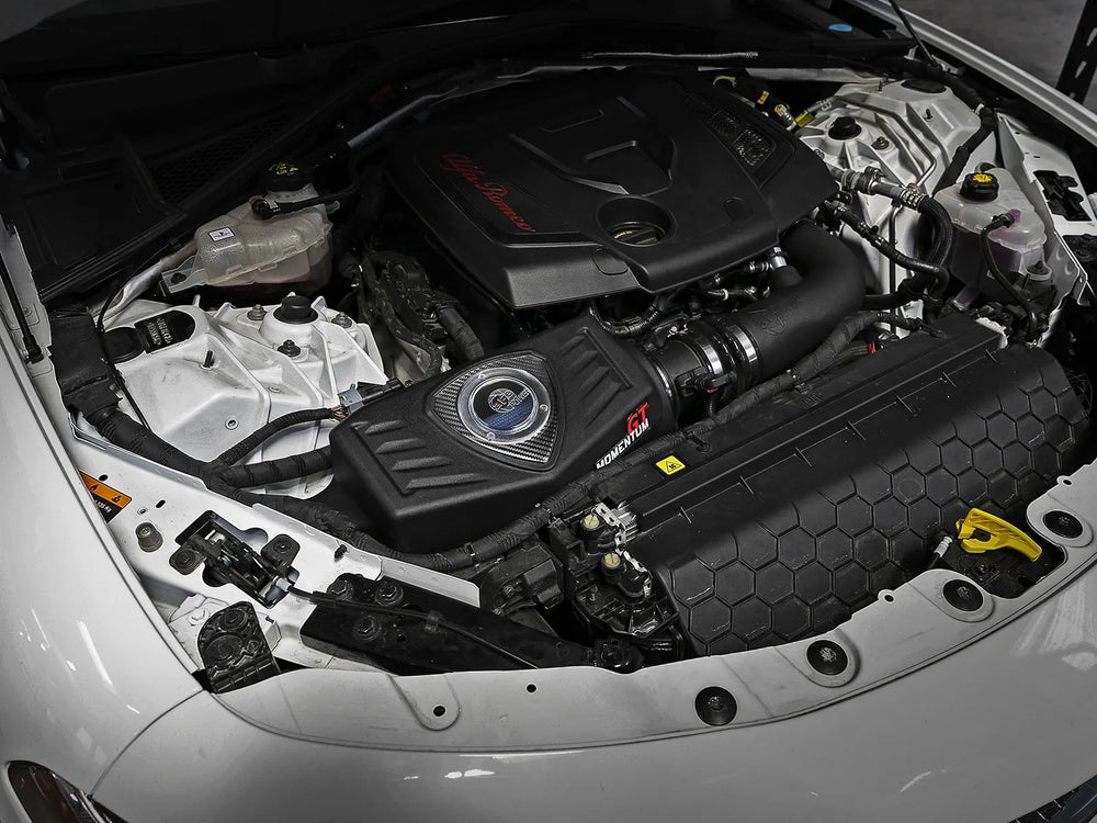 Momentum GT L4-2.0L (t) Cold Air Intake