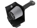 Magnum FORCE Stage-2 Pro DRY S Cold Air Intake