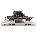 Go Port EFI System with Black Throttle Body