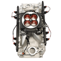 Go Port EFI System with Black Throttle Body