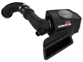 Pro DRY S Cold Air Intake System