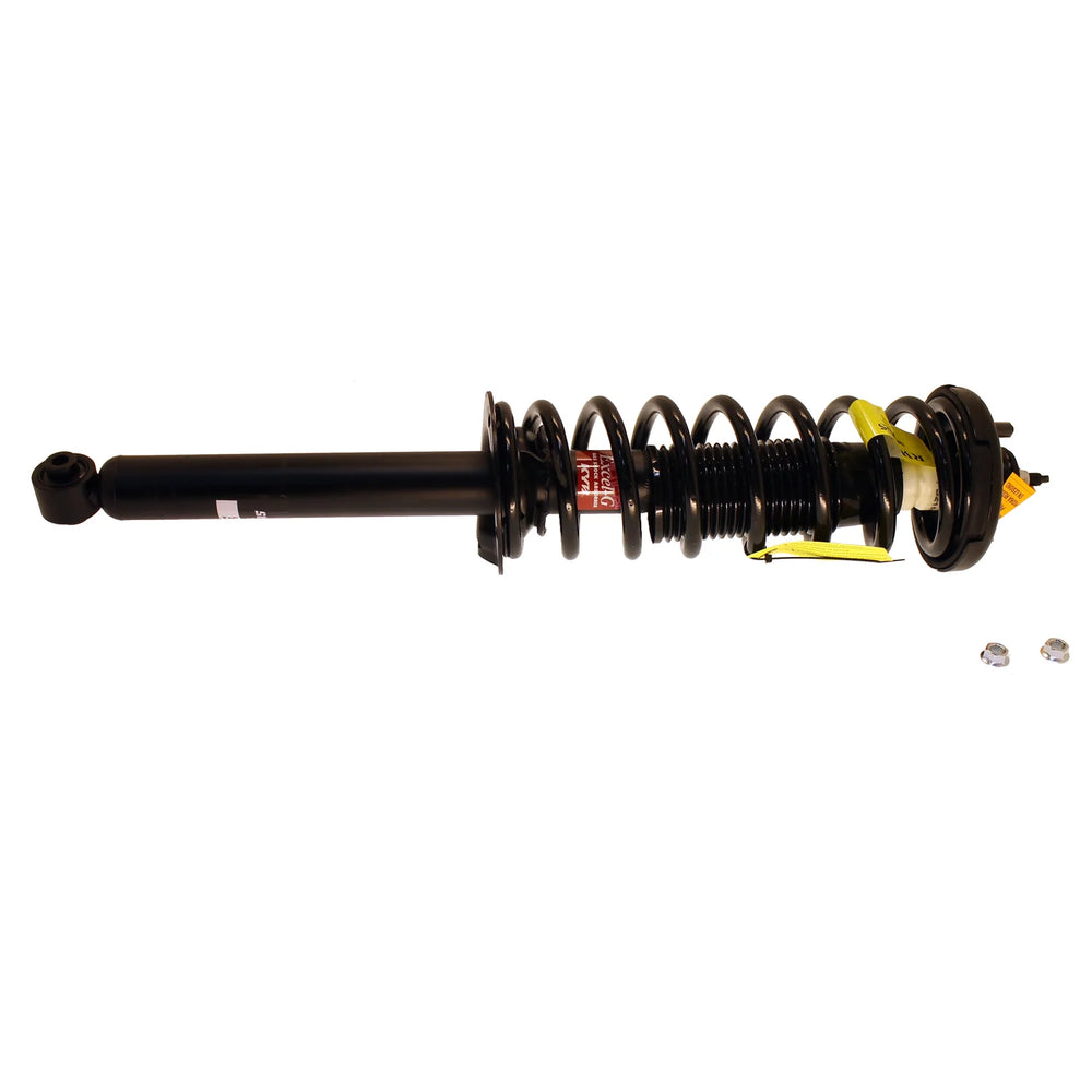 Strut Plus Rear Strut Assembly