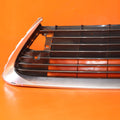 Lower Radiator Grille