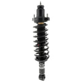 Rear Right Strut and Spring Assembly