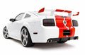 Boy Racer 10-Piece Body Kit