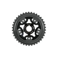 Tru-Time Adjustable Cam Gear