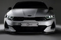 Carbon Fiber Front Lip V1