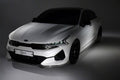 Carbon Fiber Front Lip V1