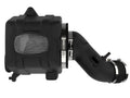 Momentum GT Cold Air Intake System with Pro DRY S Filter