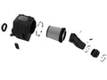 Momentum GT Cold Air Intake System with Pro DRY S Filter
