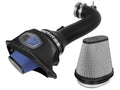 Momentum Pro DRY S Cold Air Intake System