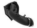 Momentum HD Pro DRY S Cold Air Intake System