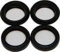 Fork and Dust Seal Kit