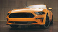 Front & Rear Lens Vinyl Tint Kit