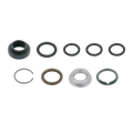RPV Valve Rebuild Kit