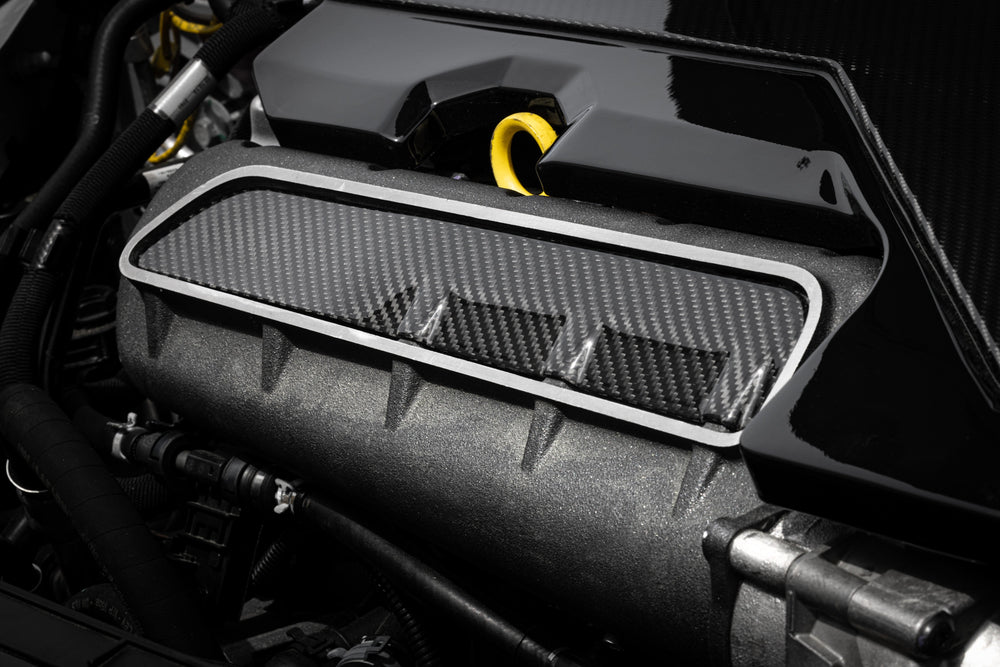 Gloss Finish Debadged Engine Cover