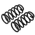 ARB Old Man Emu Rear Coil Springs