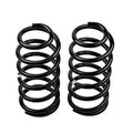 ARB Old Man Emu Rear Coil Springs