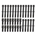 SBC Cylinder Head Bolt Kit