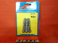 M6 x 1.00 x 45 12pt SS Bolt