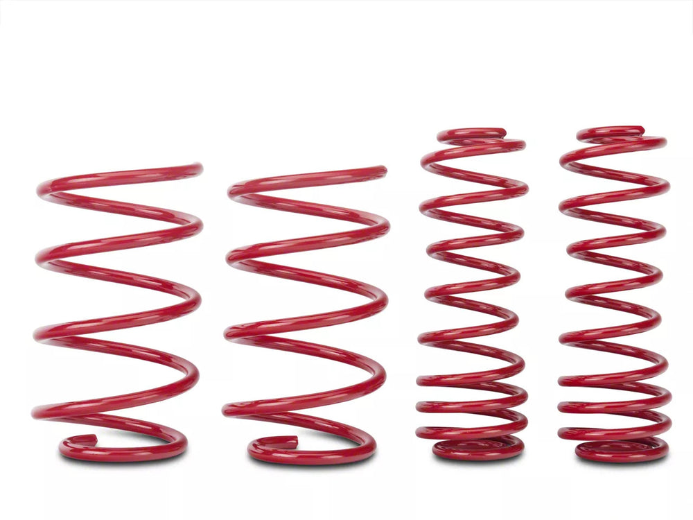 Lowering Springs
