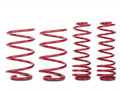 Lowering Springs