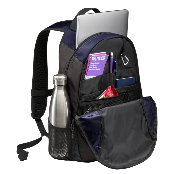 Platinum 44K Gasoline Fuel System Cleaner