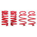 Lowering Springs
