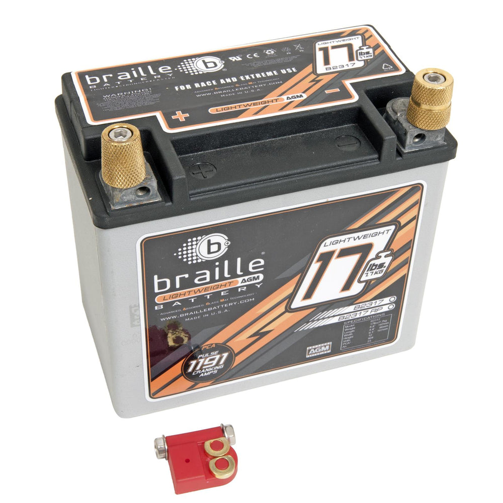 AGM Battery