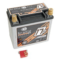 AGM Battery