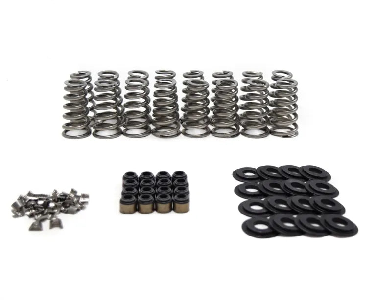 Brian Tooley Racing Conical Valve Spring Kit for Gen V LT