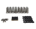 Brian Tooley Racing Conical Valve Spring Kit for Gen V LT