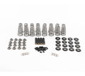 Brian Tooley Racing Conical Valve Spring Kit for Gen V LT