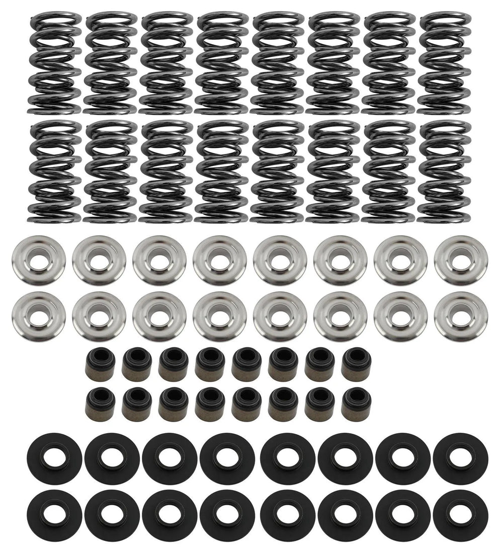 LS Dual Valve Spring Kit