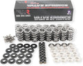 LS Dual Valve Spring Kit