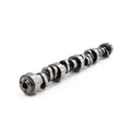 V2 202/202 Hydraulic Roller Camshaft