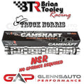 BTR Camshaft 212/22X .553/.553 107 LSA